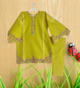 embroidered dress fro kids